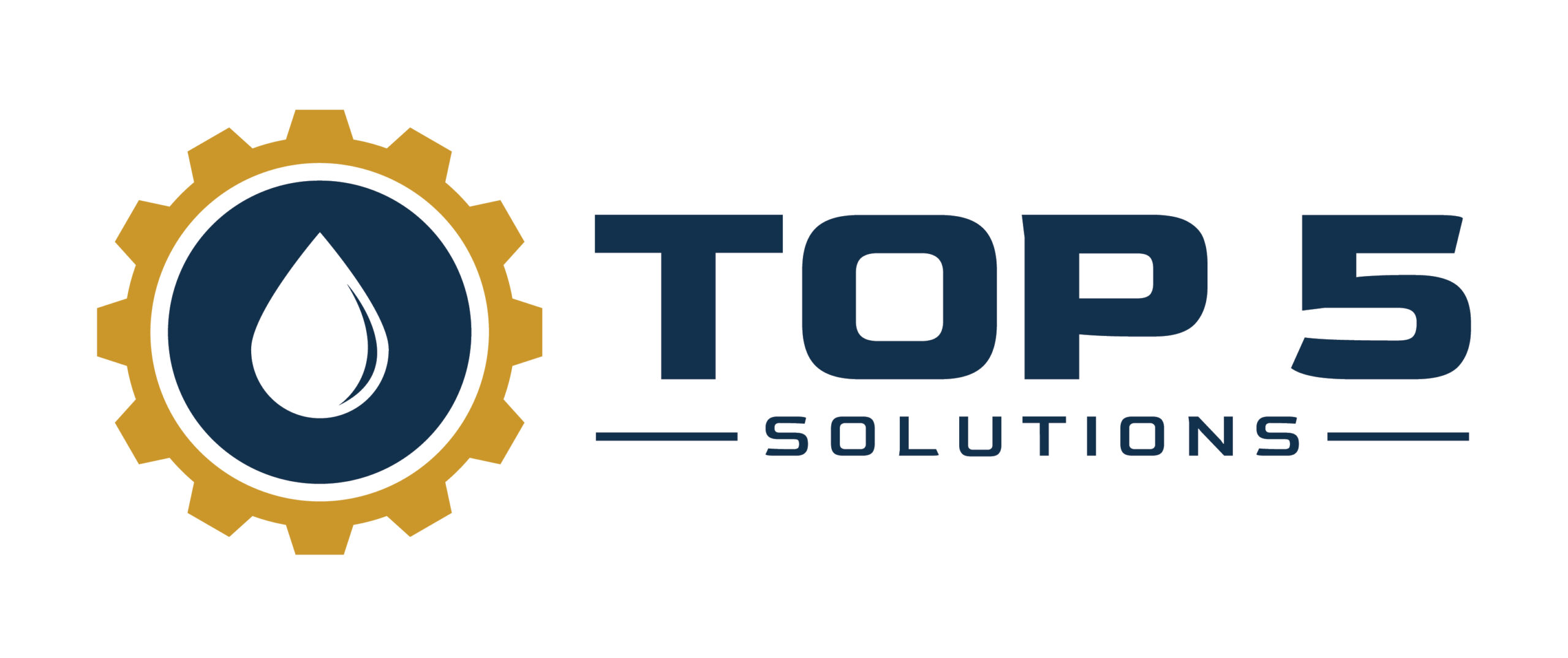 Top5_Solutions_logo_Final